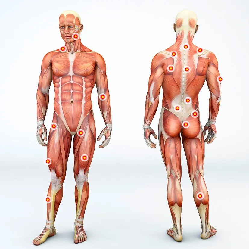 12 CE Hour Trigger Point Therapy & Myofascial Release (Computer-Based Live Interactive Webinar)