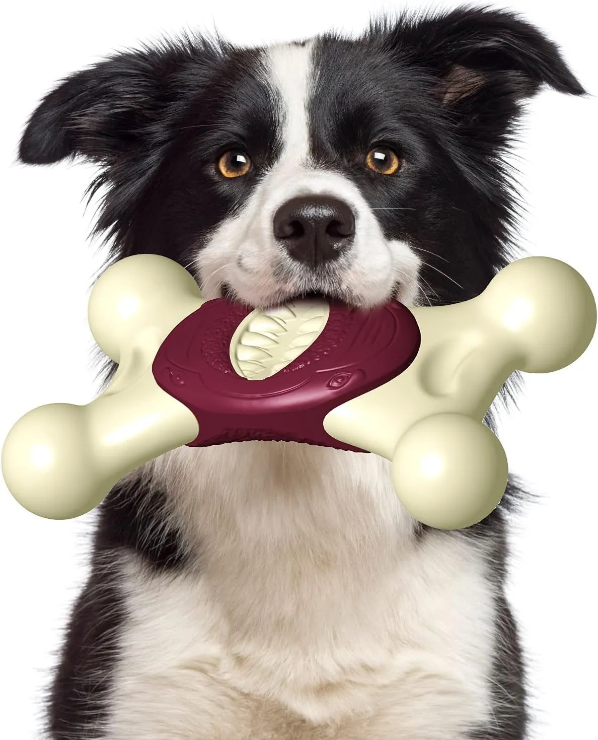 Chewers Indestructible Dog Toys