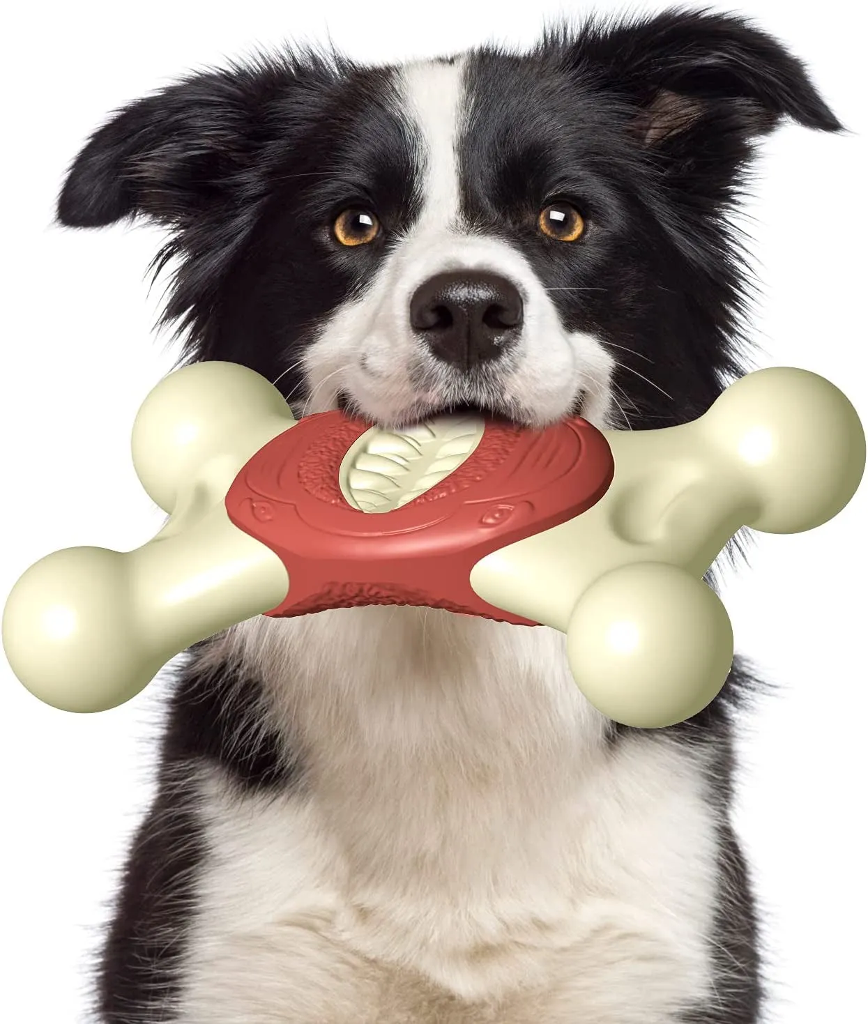 Chewers Indestructible Dog Toys