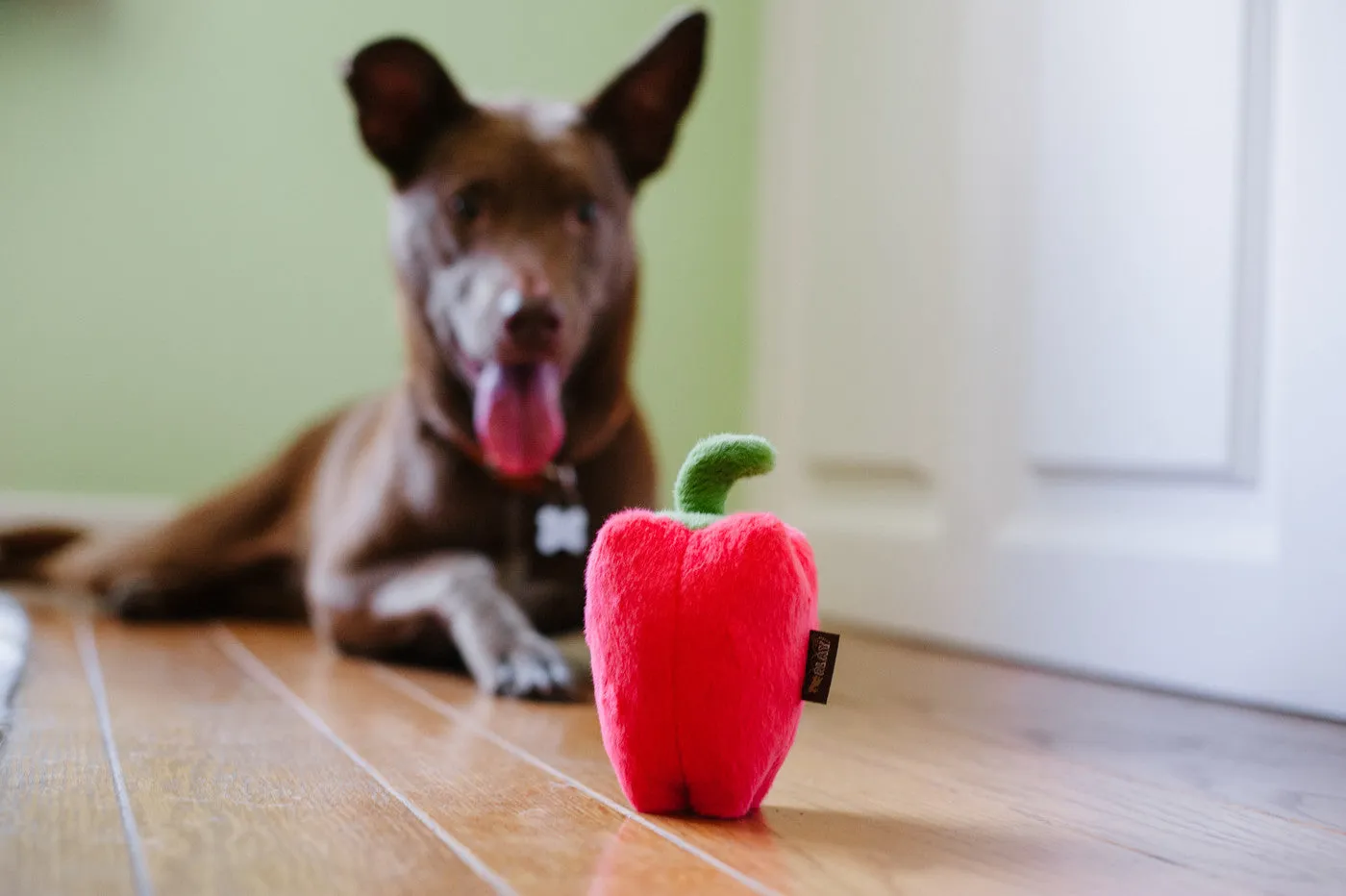 Farm Fresh, Squeaky Plush Dog Toy