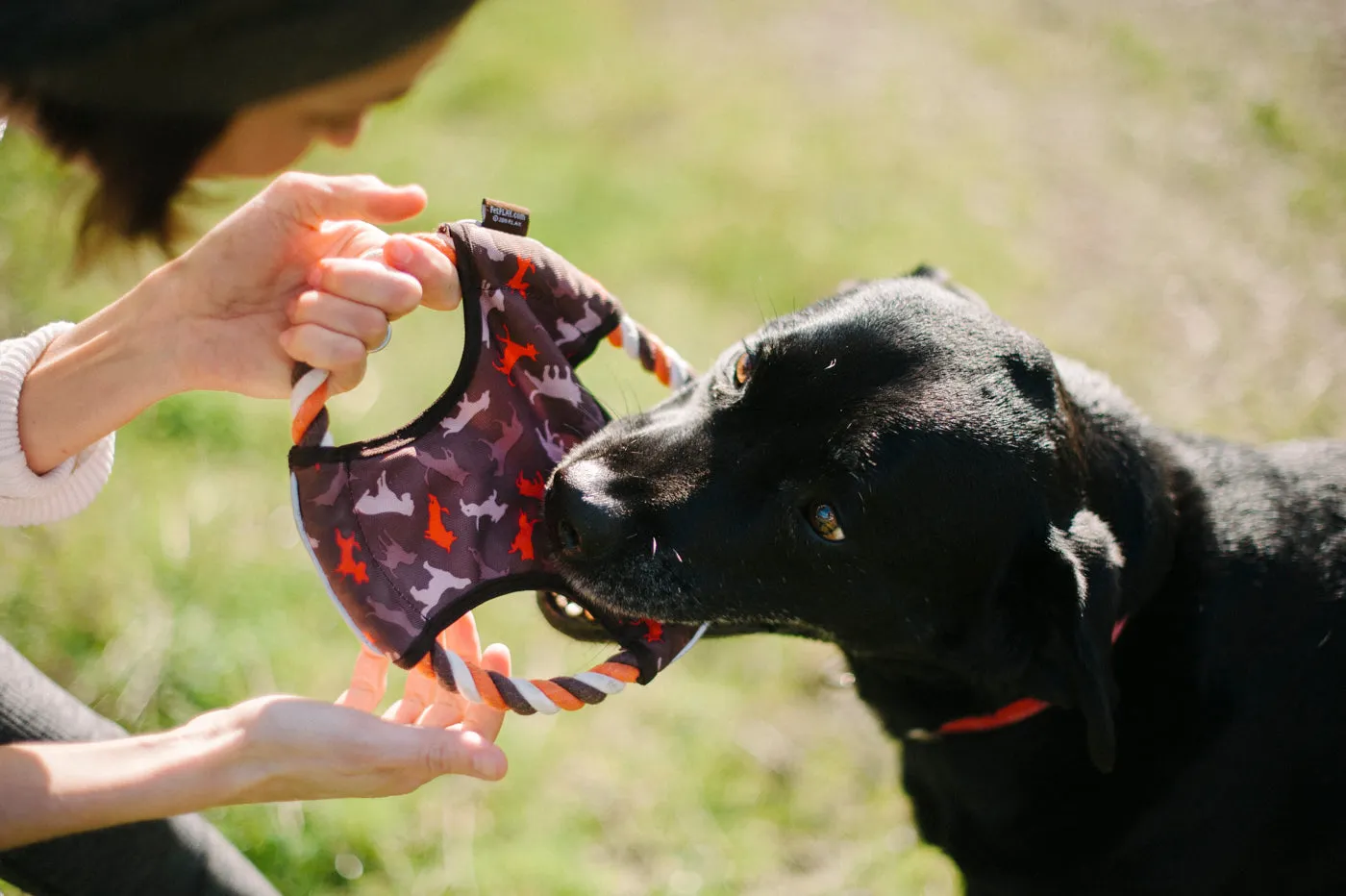 Flying Disc Toy