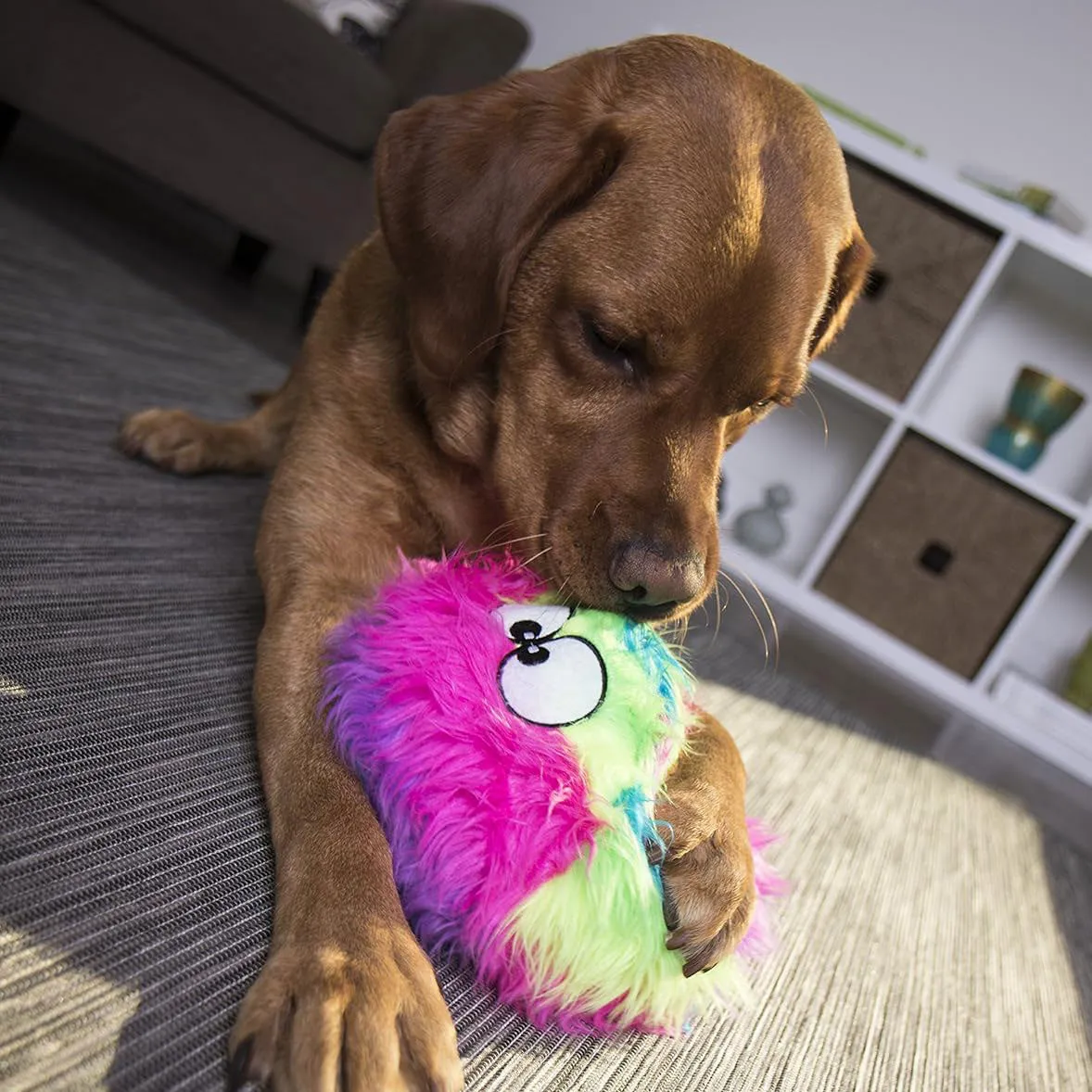 GoDog's Rainbow Furballz with Chewguard