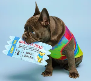 Grateful Dead Admission Ticket Dog Toy