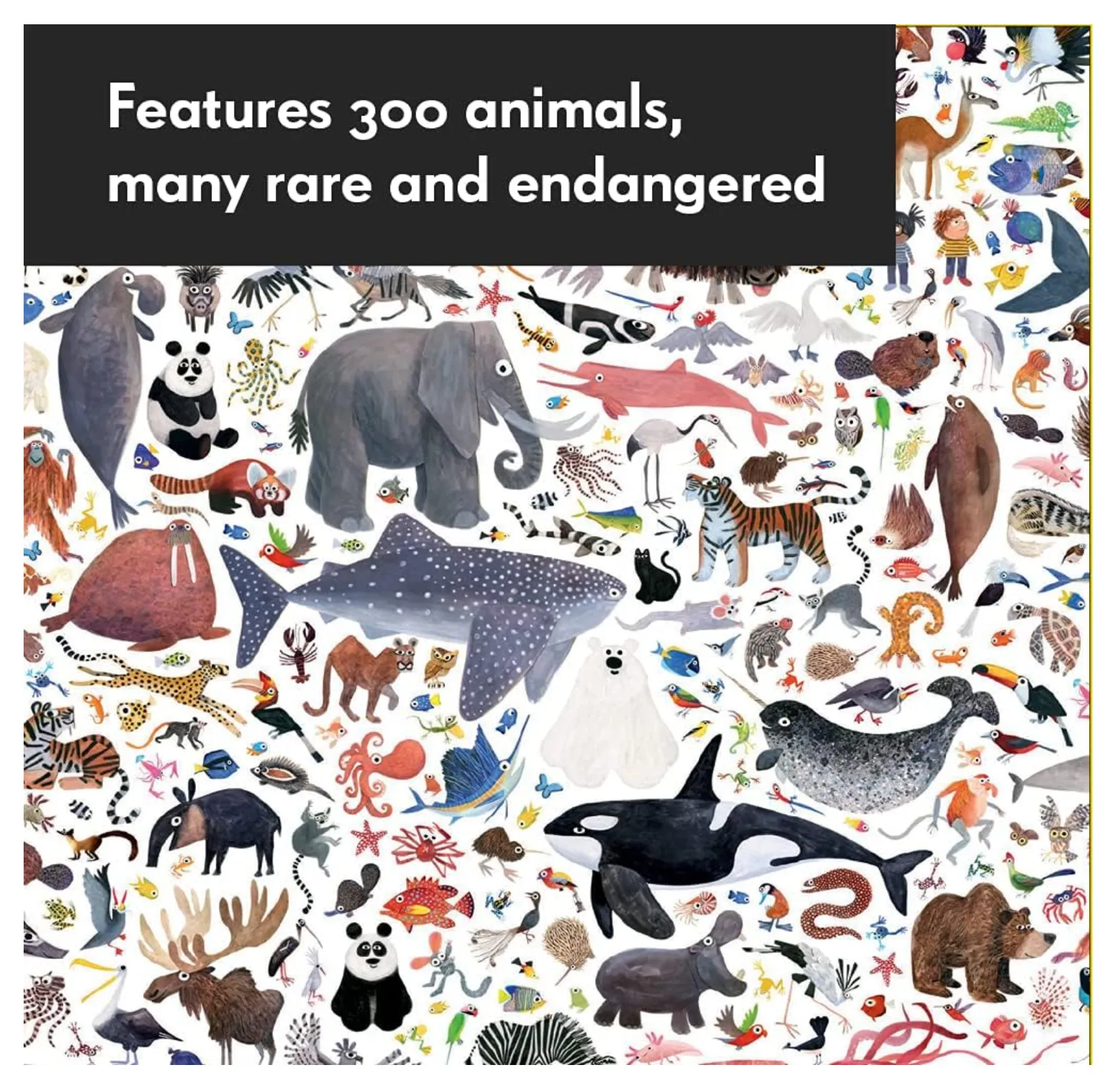 Hello Animals of The World 500-Piece Family Puzzle – Brendan Wenzel