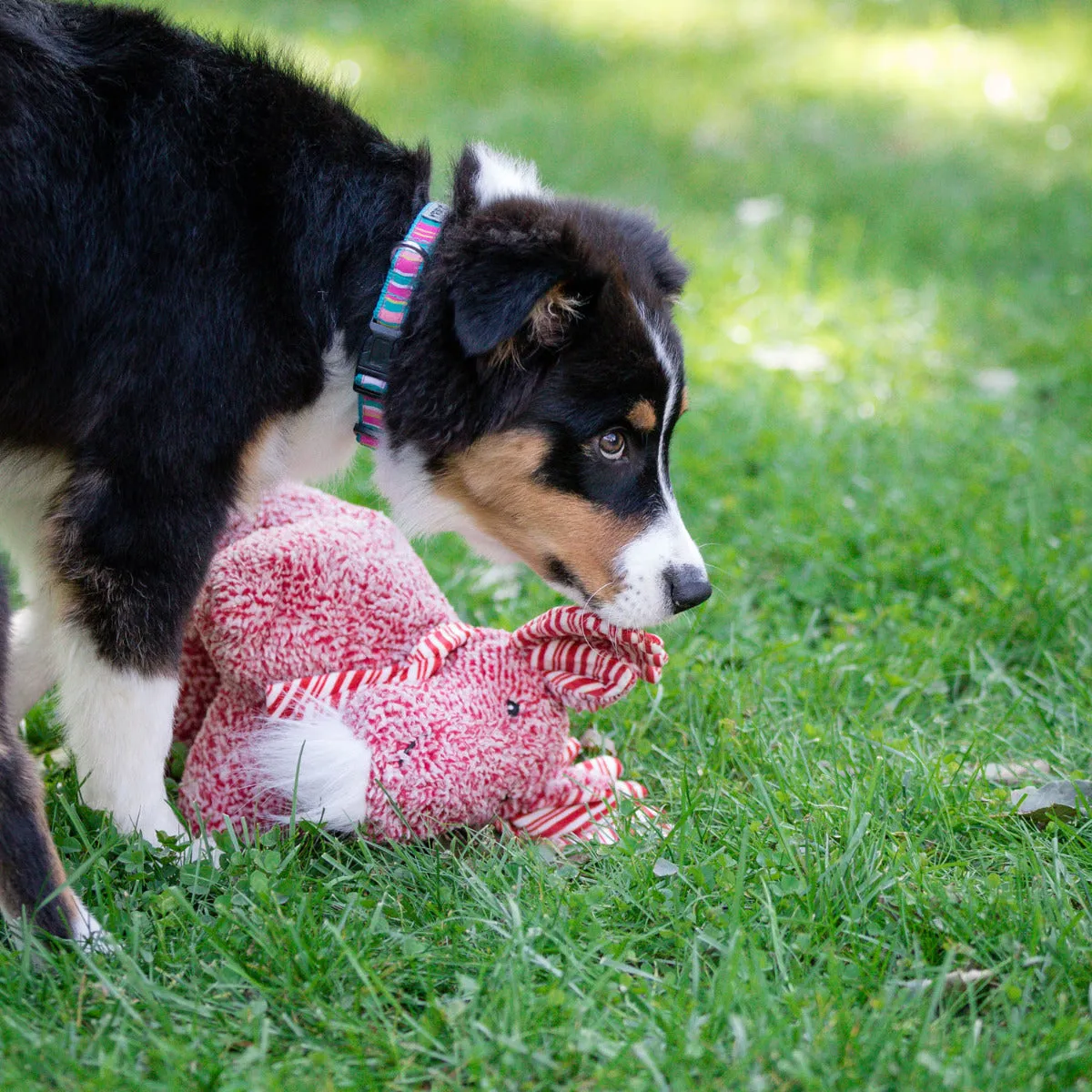 HuggleHounds Peppermint Squooshie Moose