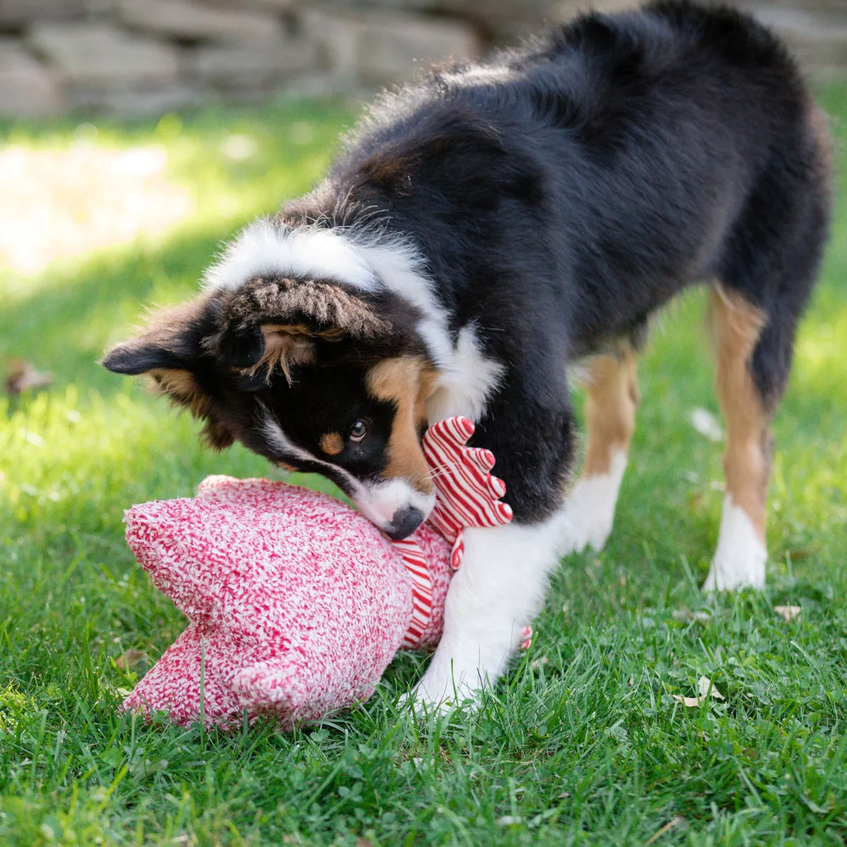 HuggleHounds Peppermint Squooshie Moose