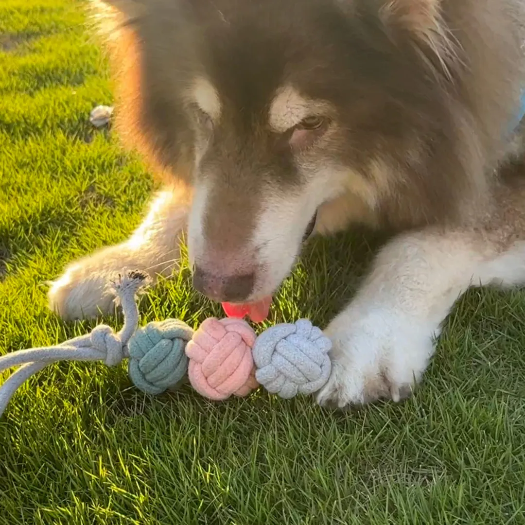 Ice Cream Rope Balls Tug Toy