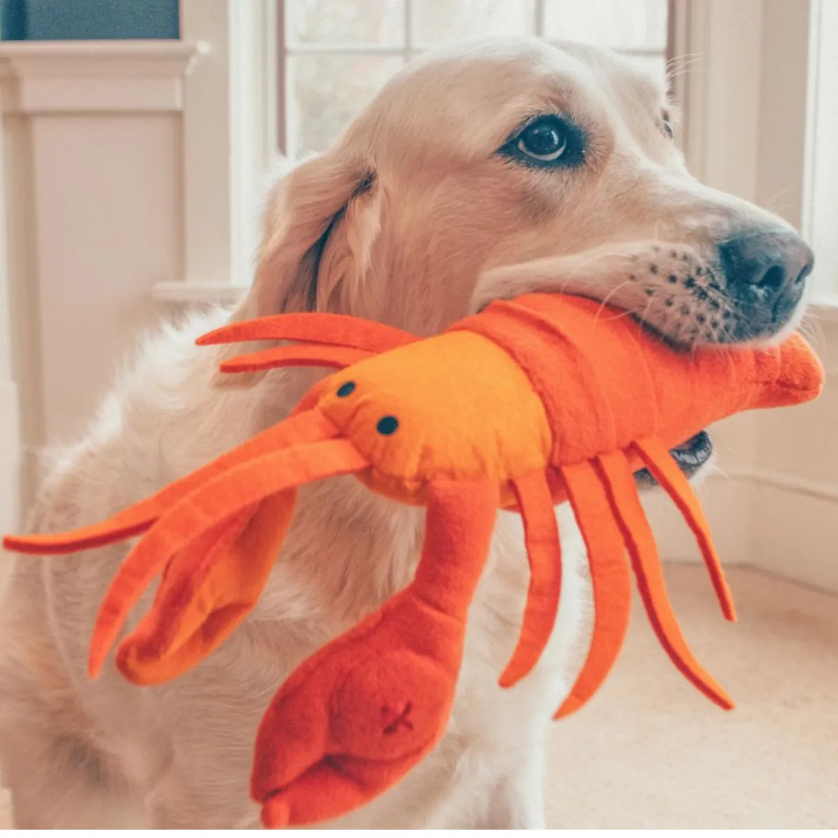 Injoya Lobster Snuffle Dog Toy 2.76''