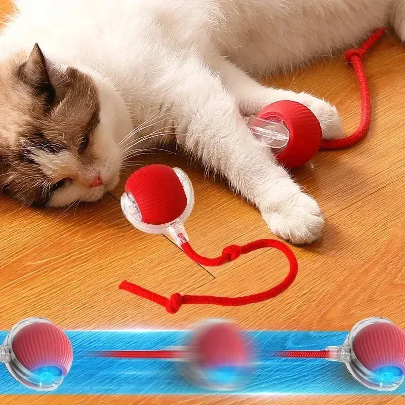 Interactive Automatic Cat Ball Toy