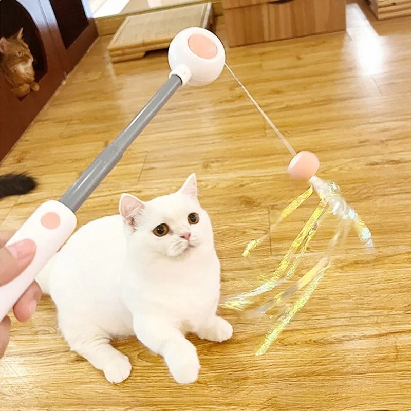 Interactive Cat Teaser Stick Toy