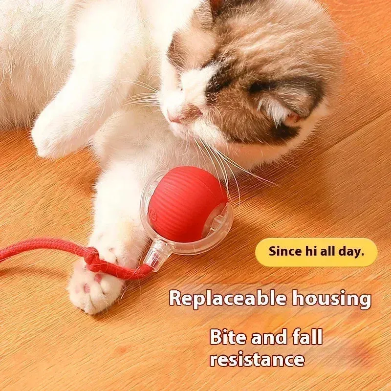 Interactive Rechargeable Cat Toy Ball