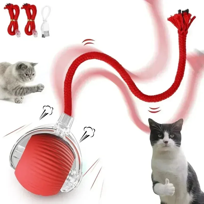 Interactive Rechargeable Cat Toy Ball