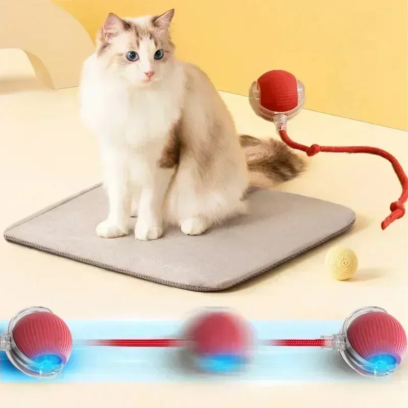 Interactive Rechargeable Cat Toy Ball