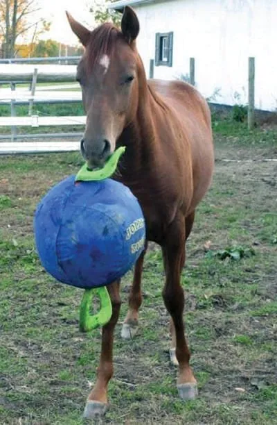 Jolly Tug Inflatable Ball w/ 2 Handles Horse Toy