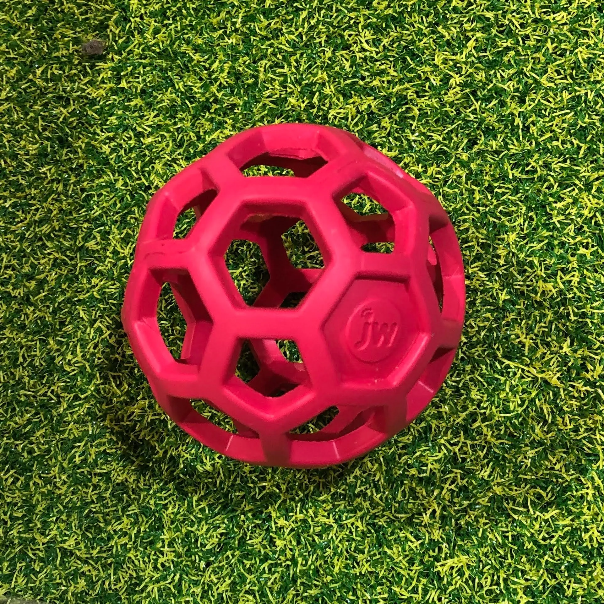 JW Pets Hol-ee Roller Ball