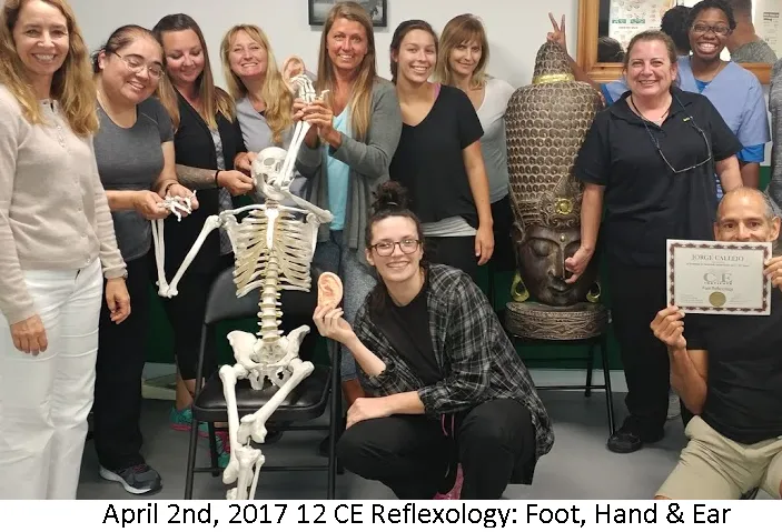 LIVE IN-PERSON 12 CE Hour Reflexology: Foot, Hand & Ear