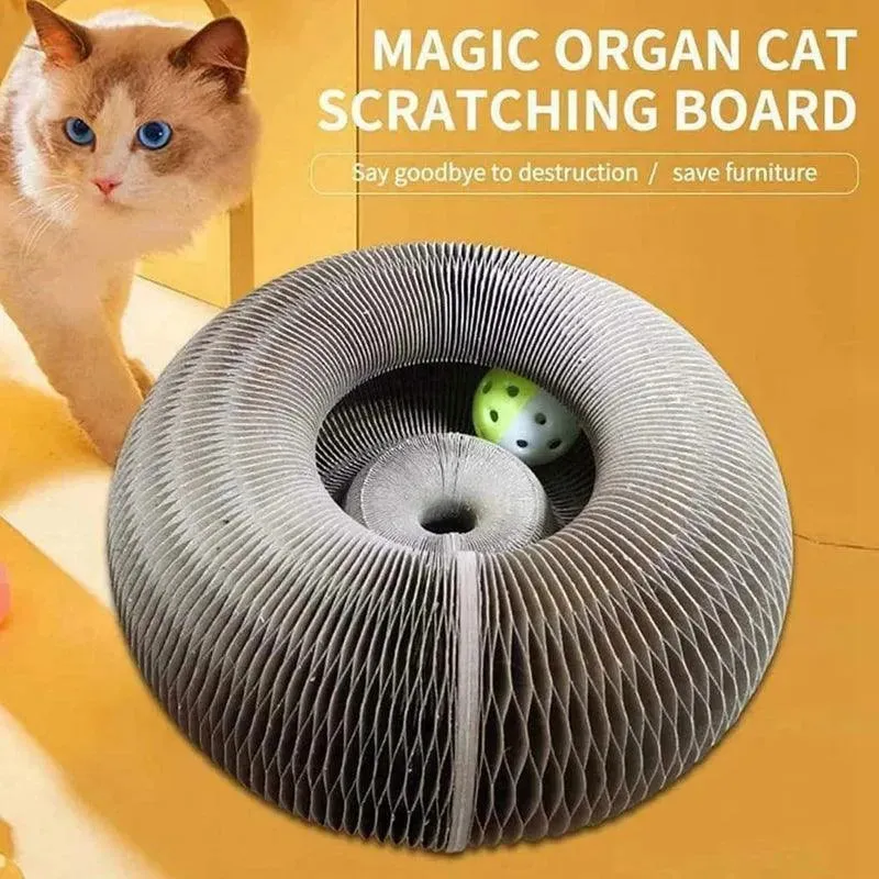 Magic Organ Cat Scratching Board with Bell