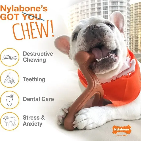 Nylabone Power Chew Textured Dog Ring Toy