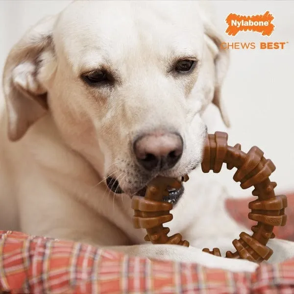 Nylabone Power Chew Textured Dog Ring Toy