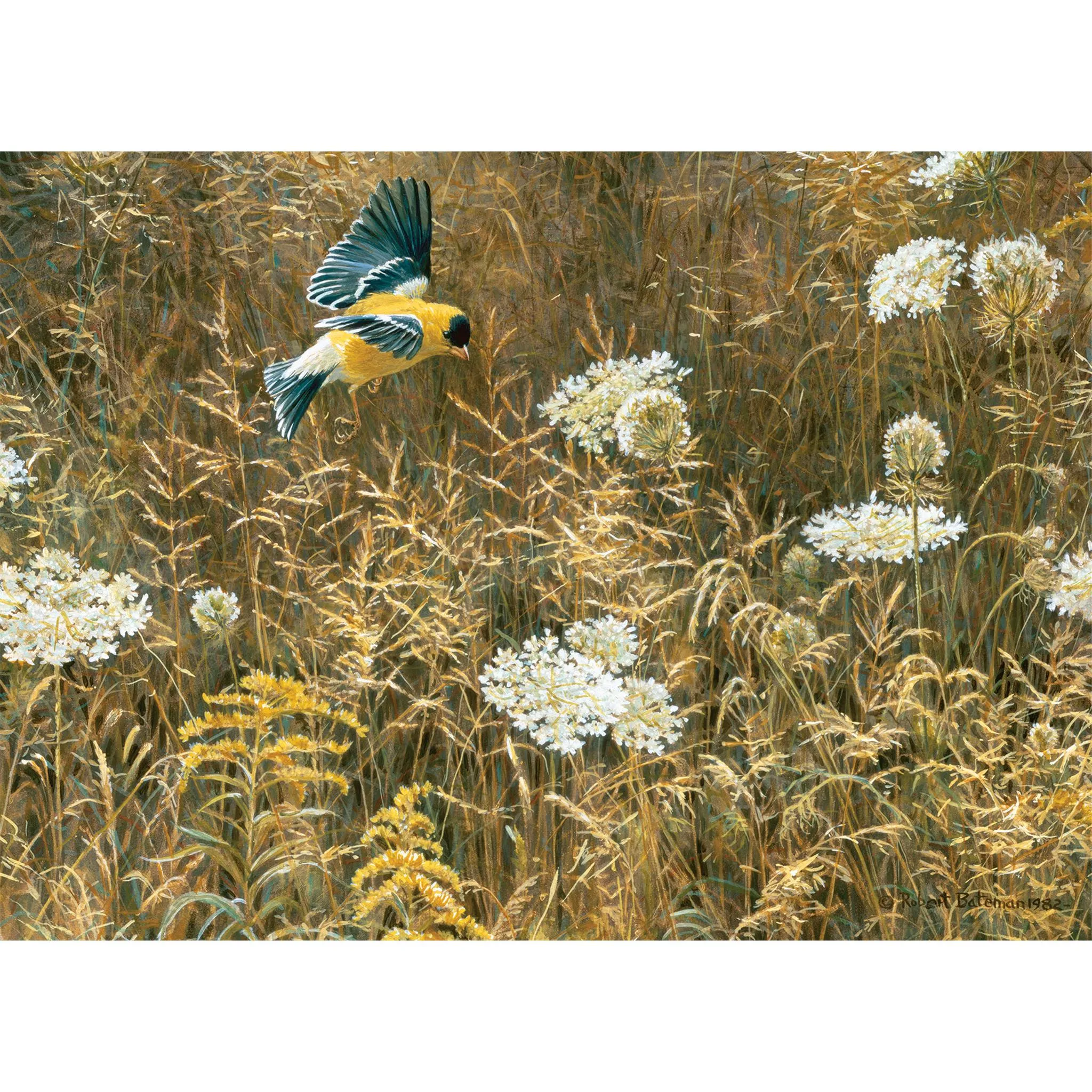 Queen Anne's Lace & American Goldfinch 500 Piece Puzzle Cobble Hill