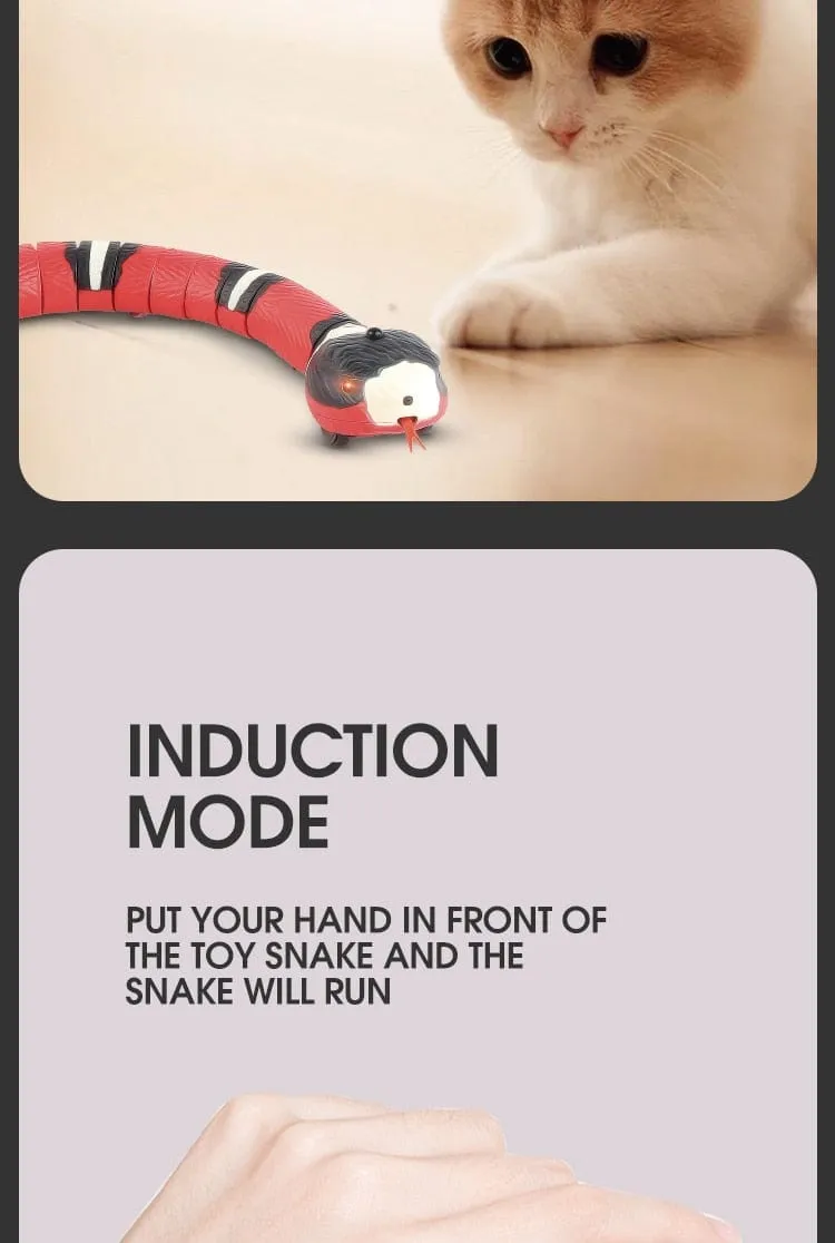 Smart Interactive Snake Cat Toy