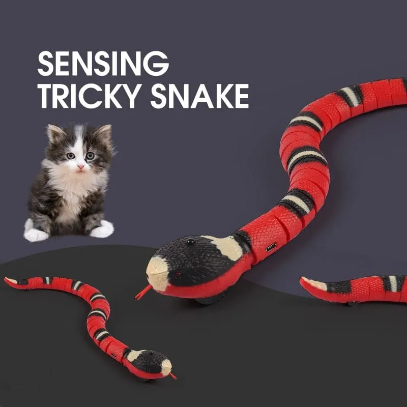 Smart Interactive Snake Cat Toy