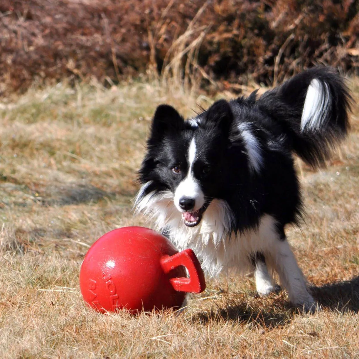 Toss-n-Tug Jolly Ball Dog Toy