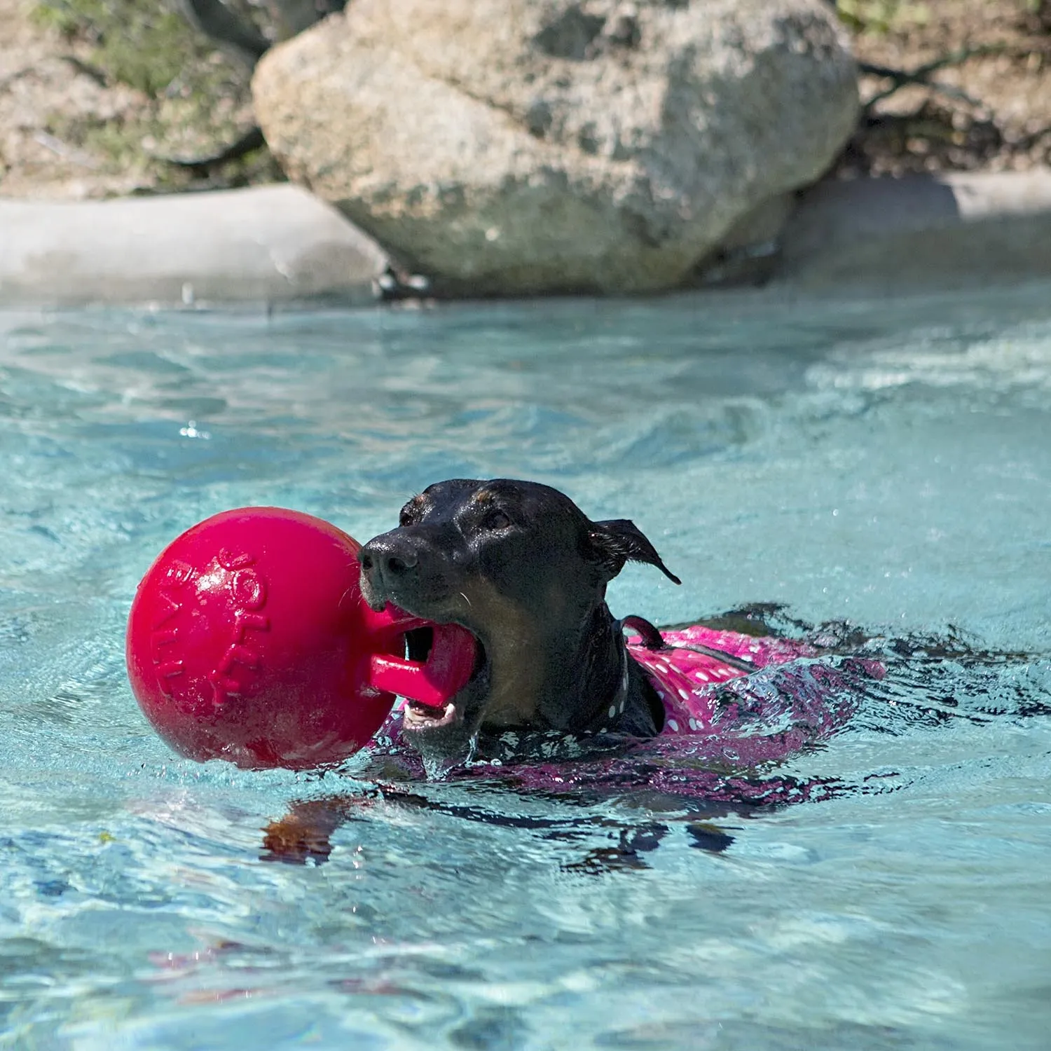 Toss-n-Tug Jolly Ball Dog Toy